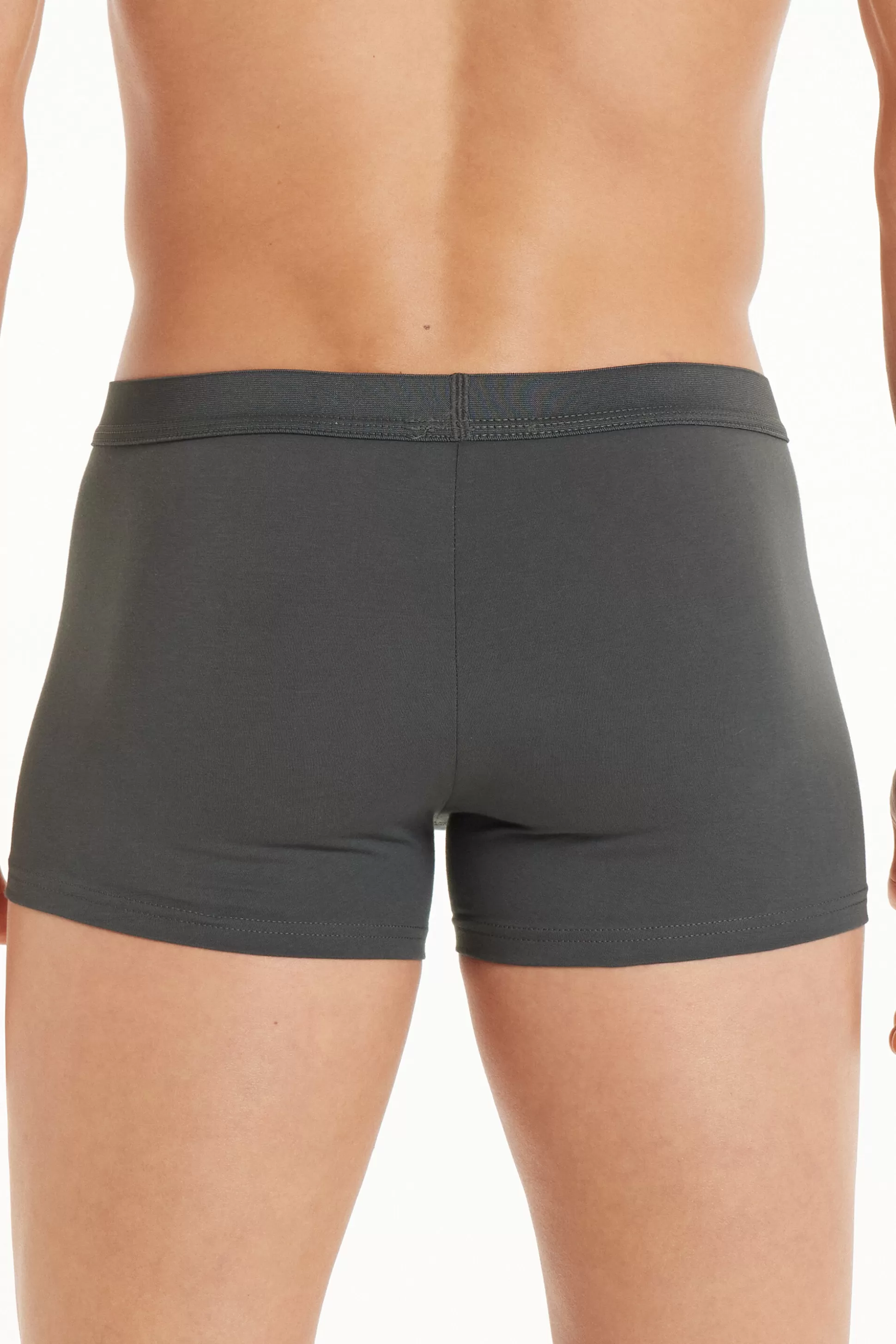 Boxer In Cotone Elasticizzato - Boxer - Uomo | >Tezenis Best Sale